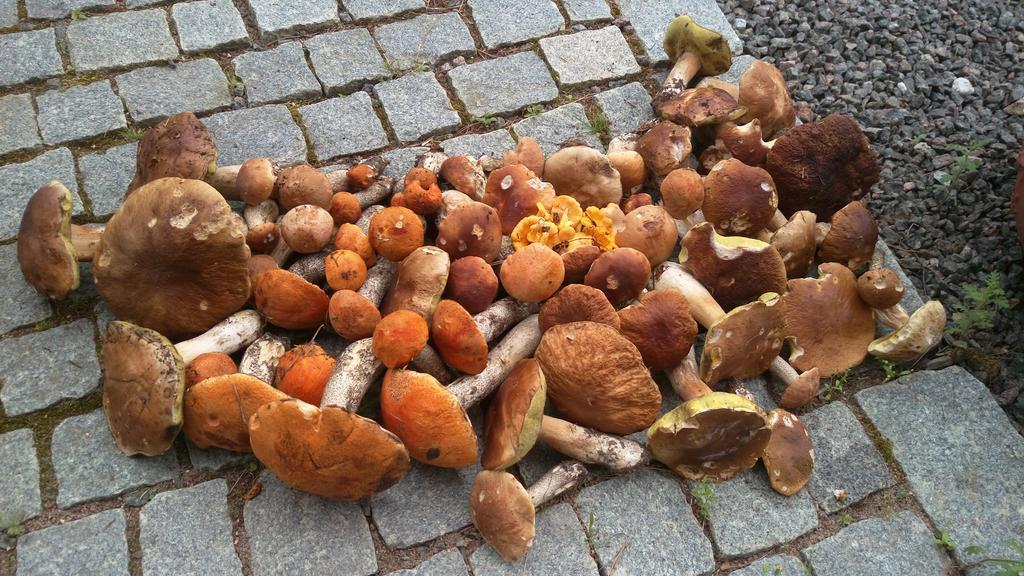 Cottage Baydar Jyraankoski Zewnętrze zdjęcie